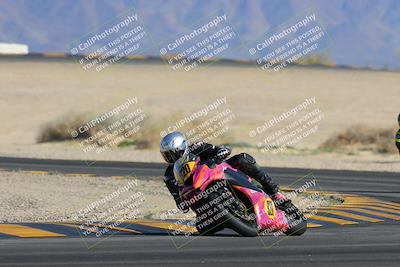 media/Feb-04-2023-SoCal Trackdays (Sat) [[8a776bf2c3]]/Turn 4 (Tree of Life 2pm)/